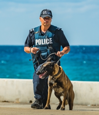 K9
